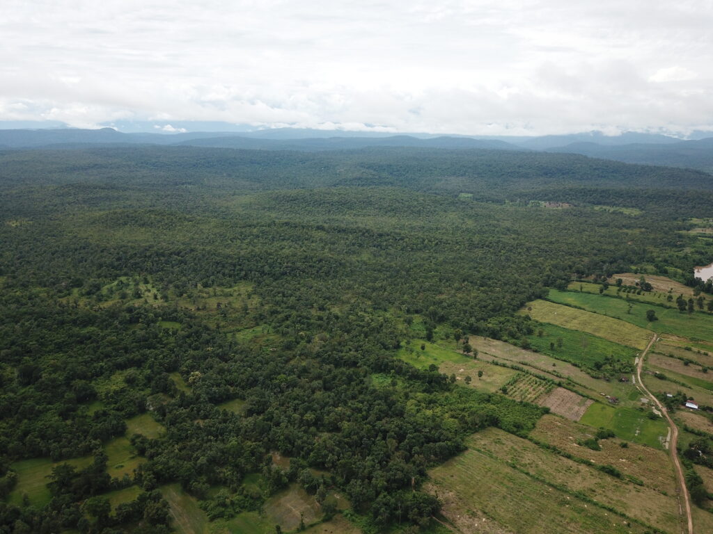 カンボジア中部の森林と農地の景観（空撮）