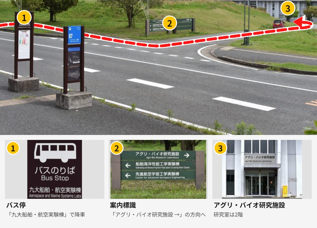バス停からアグリ・バイオ研究施設までの徒歩ルート