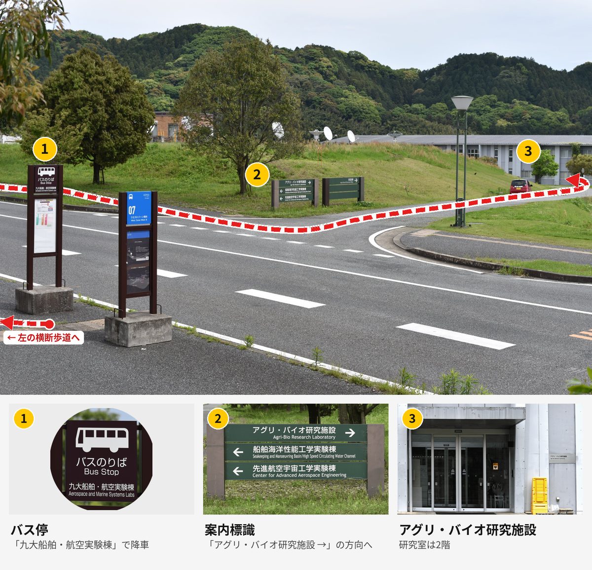 バス停からアグリ・バイオ研究施設までの徒歩ルート