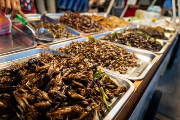 食用に売られる揚げた昆虫（タイ）