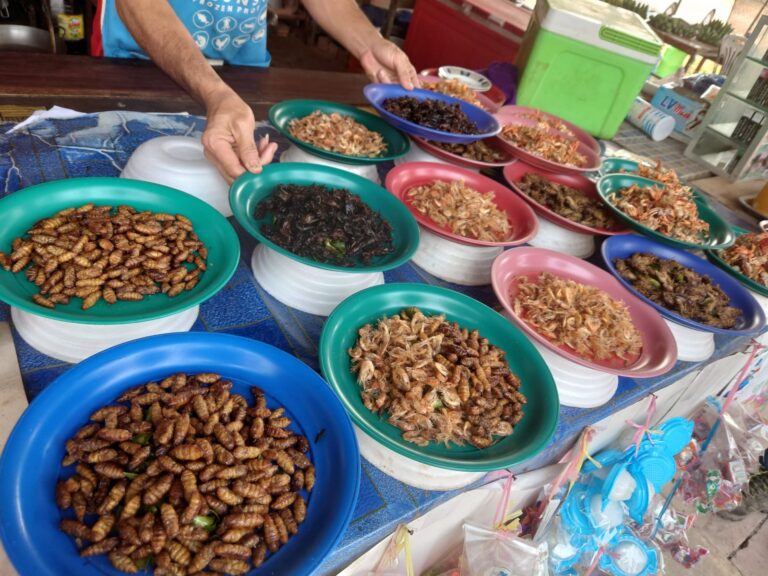 Insects sold in local market in Vientiane, Laos.