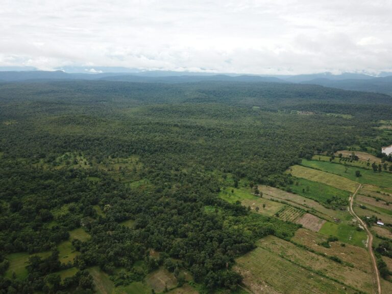 Natural landscape of rice fields and secondary forests in Prusat Province, Cambodia.